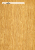 Aspect (texture) bois : chêne