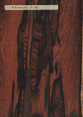 Aspect (texture) bois : palissandre de Rio