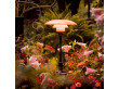 Lampe de Table scandinave PH 3/2 Edition limitée 2025, Dusty Terracotta   louis Poulsen