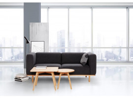 Scandinavian couch model A1 2½ seats. 12 colours