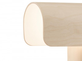 Teelo 8020 Table Lamp. 