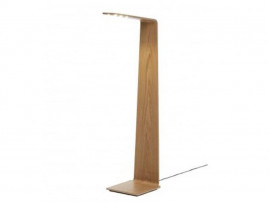 Led 2 floor lamp