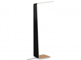 Led 2 floor lamp