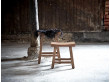 Tabouret de comptoir scandinave modèle Charles.