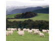 Chevron throw 130 x 200cm. 100% eco lambs wool.