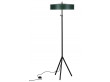 Cymbal Floor Lamp color