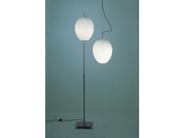 Egg Floor Lamp