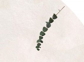 Tapis scandinave rond sur mesure, tufté à la main, modèle Eucalyptus.