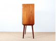 Scandinavian cabinet in Rio rosewood