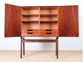 Scandinavian cabinet in Rio rosewood