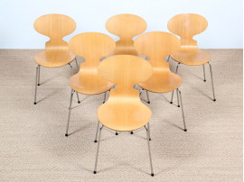 Série de six chaises scandinave. Modèle Fourmi