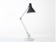 Architect lamp