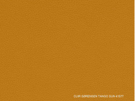 Leather Tango – 22 colours