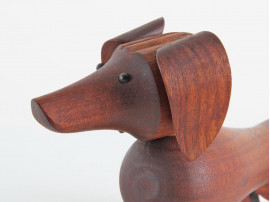 Teak dachshund