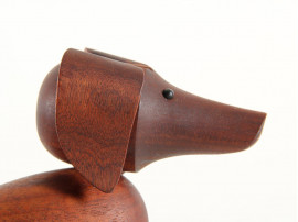 Teak dachshund