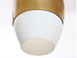 Danis modern ceiling lamp in glass and opal