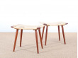 Mid modern danish pair of stool in teak and cane