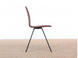 Tongue chair in dark oak by Arne Jacobsen, new releases. 