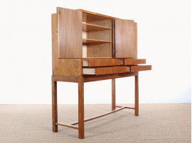 Cabinet scandinave  en orme