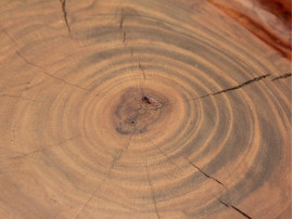 Tabouret tripode. Pièce unique signée du Sculpteur français Yvon