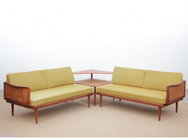 Mid-Century  modern scandinavian set of sofa by Peter Hvidt et Mølgaard Nielsen