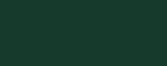 DARK GREEN RAL 6012