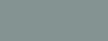 LIGHT MINT GREY NCS S 4010-B70G