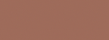 BEIGE BROWN NCS S 4030-Y50R