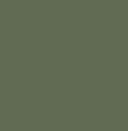OLIVE GREEN NCS S6020-G50Y