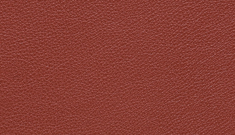 Burnt Sienna - 293