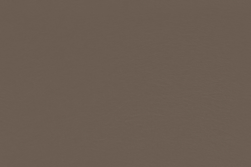 Raw Umber