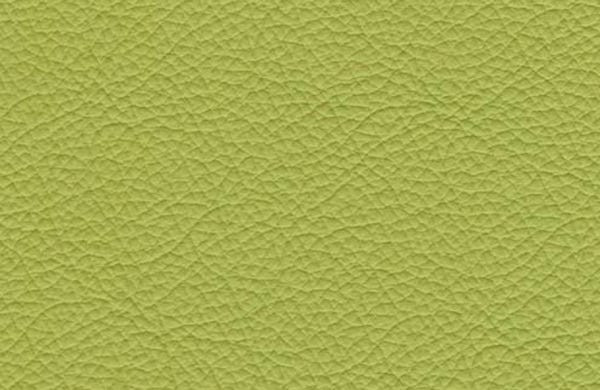 SI0407 - lime