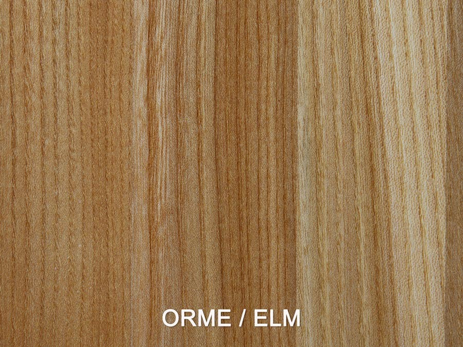 Elm