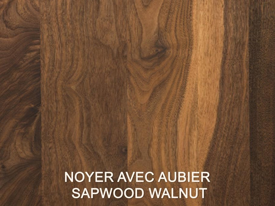 Sapwood Walnut 