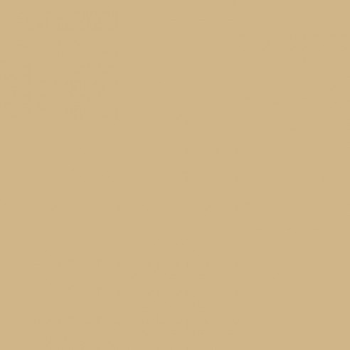 Lacquered beige (RAL 1001)